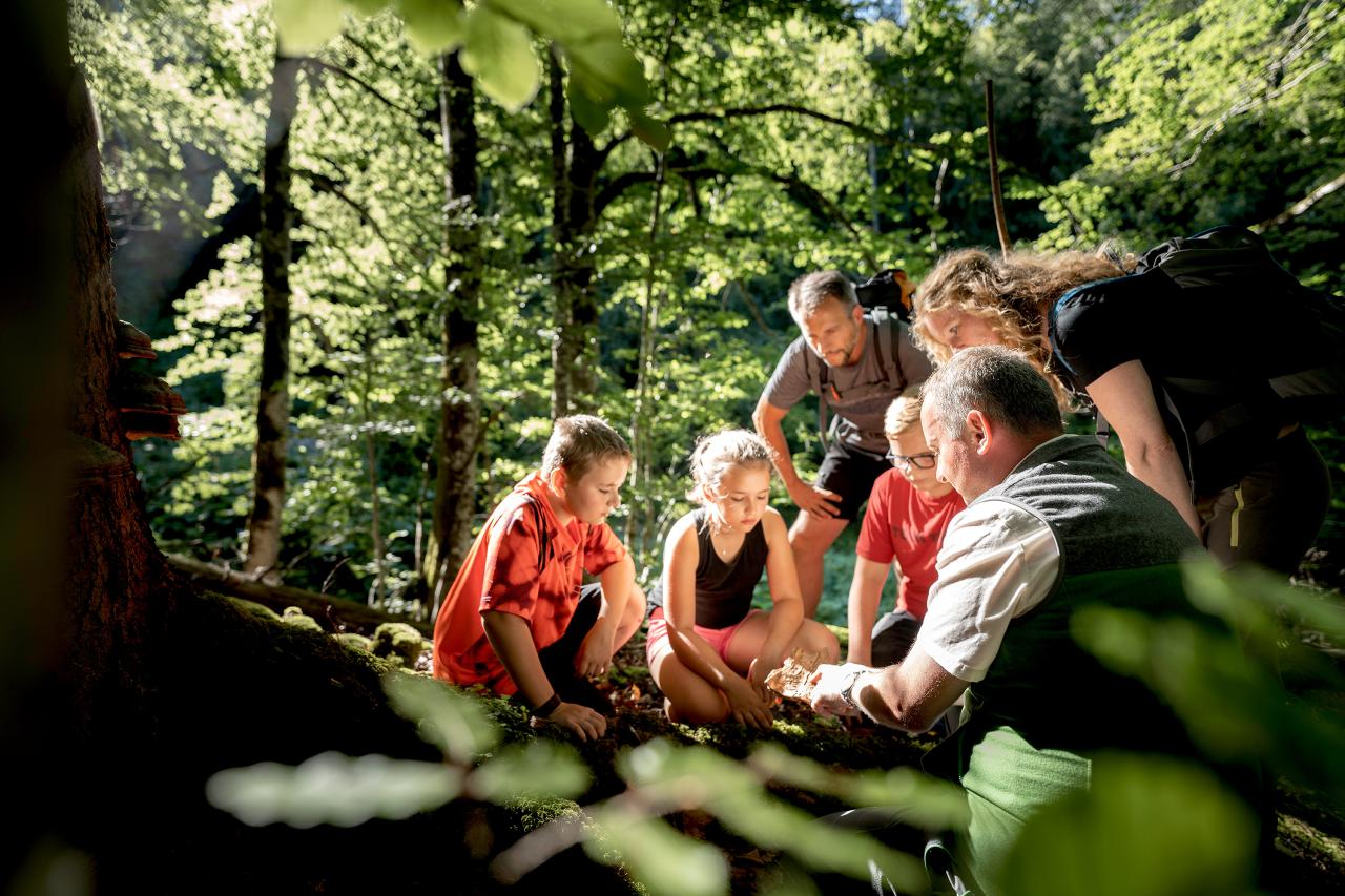 Nationalpark Kalkalpen Prohlídka lesa s dospělými a dětmi