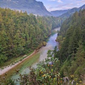 Řeka Steyr protéká lesem lemovanou soutěskou