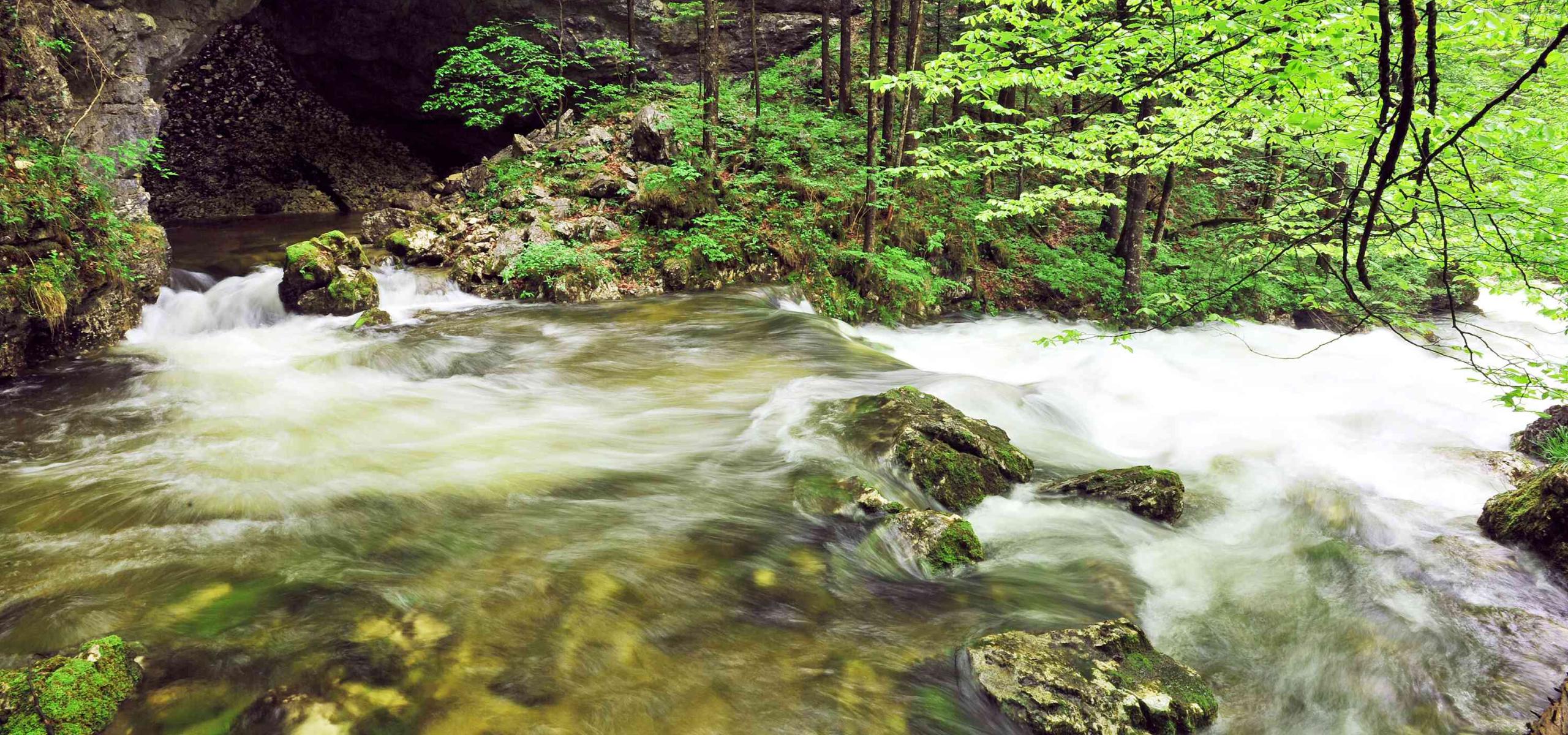 Pramenitá voda vyvěrá na povrch pod skalním portálem a při povodni se vlévá do horského potoka.