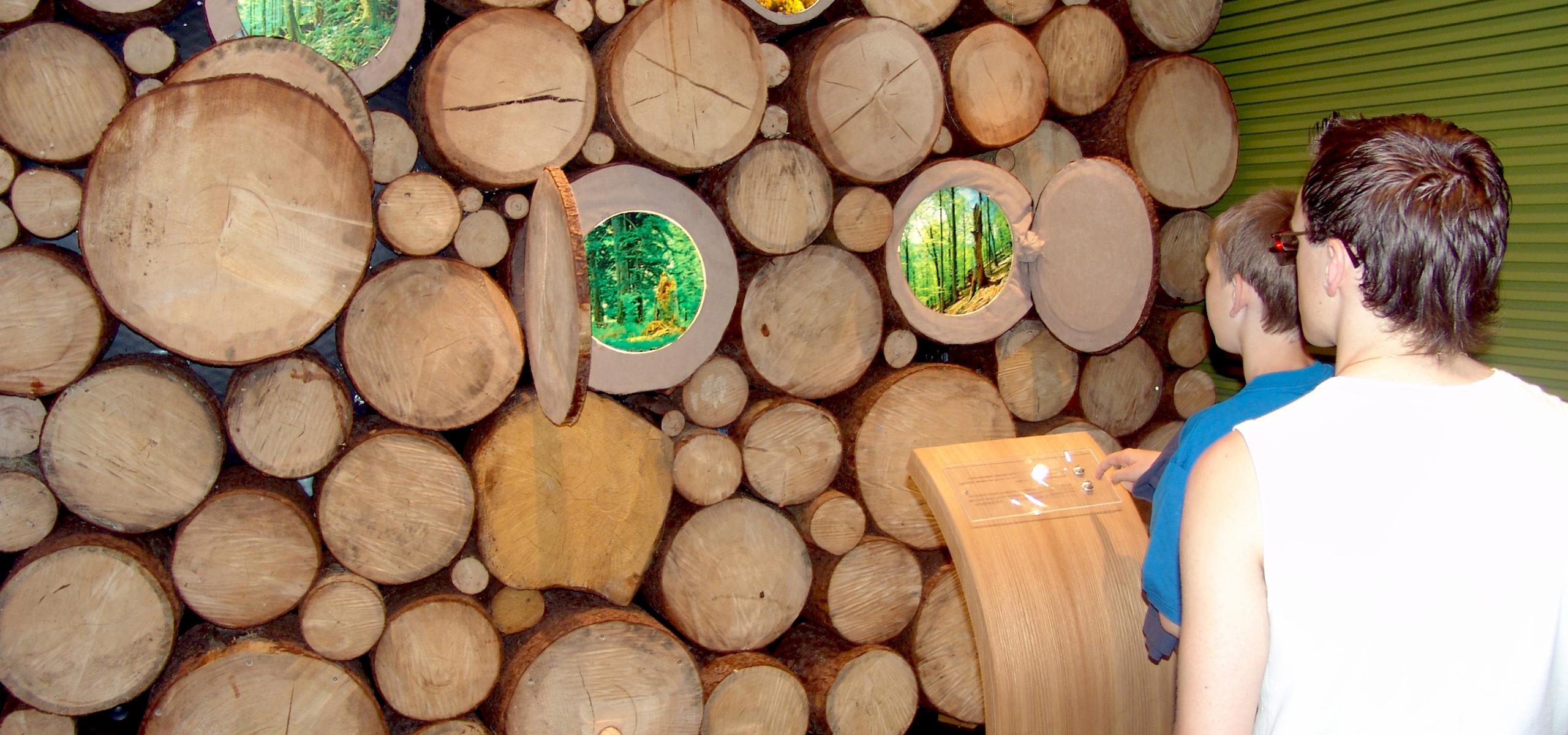 Výstavní prvek zobrazuje kmeny stromů, na jejichž řezané ploše se otevírají okna s lesními obrázky.