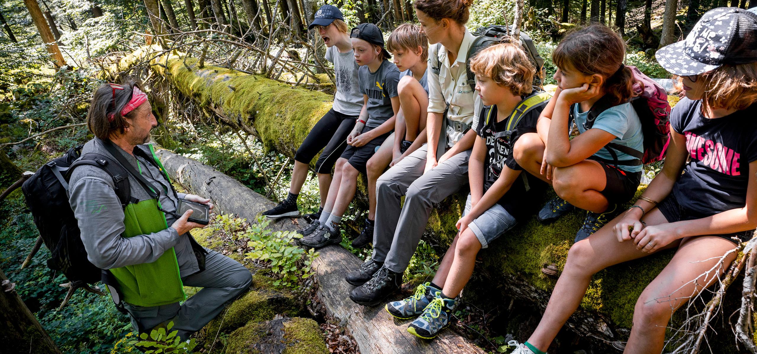 Školáci sedí v lese na mechem porostlém kmeni stromu a poslouchají strážce národního parku.