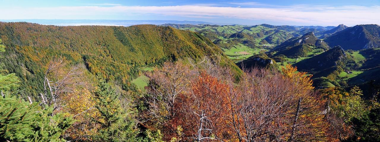 Panoramatický snímek ukazuje přes podzimně zbarvené horské lesy do oblasti národního parku Ennstal, která se vyznačuje loukami a horami.