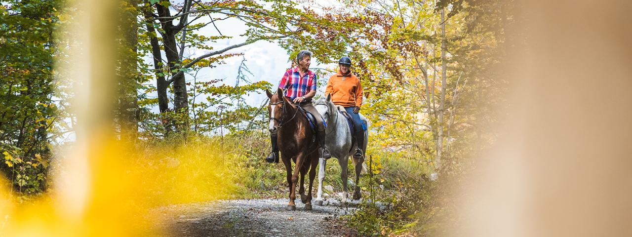Dva muži na koních jedou podzimním lesem