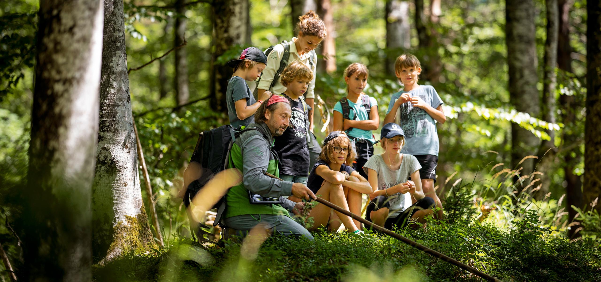 Strážce národního parku se skupinou školáků v lese