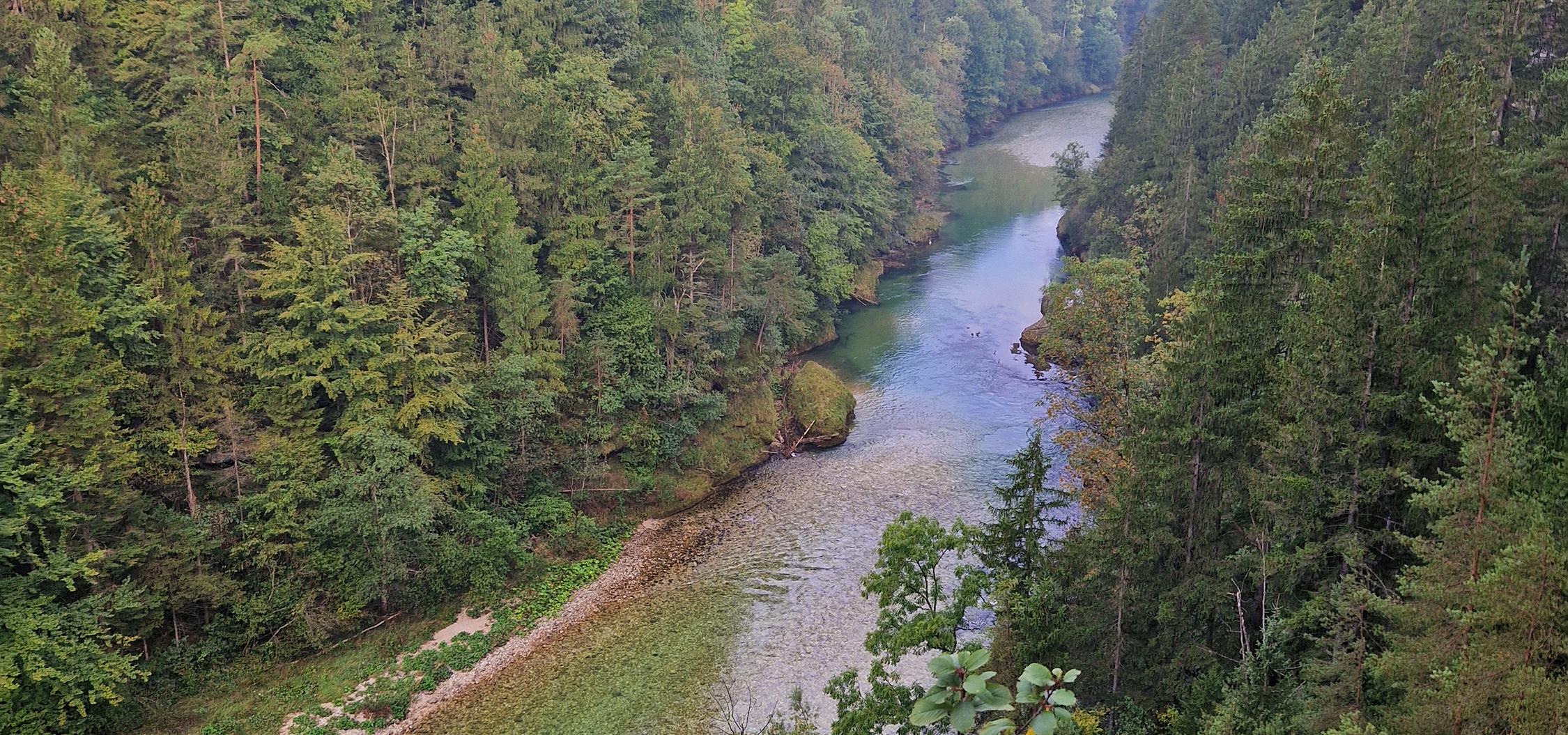 Řeka Steyr protéká lesem lemovanou soutěskou