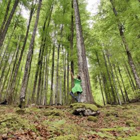 Strážce národního parku v jogínské pozici v jarním zeleném bukovém lese