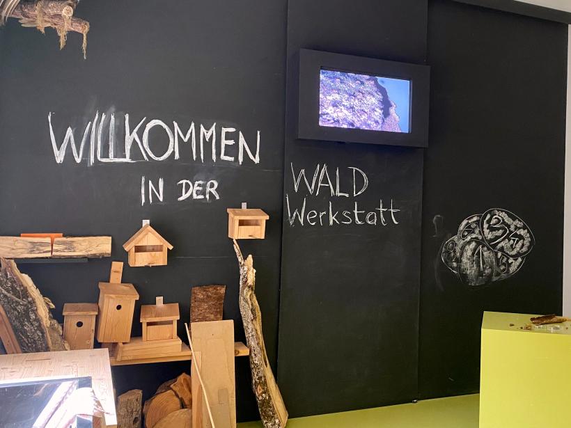 Lesní dílna s psacím tabletem a monitorem a vlastnoručně postavenými hnízdními budkami