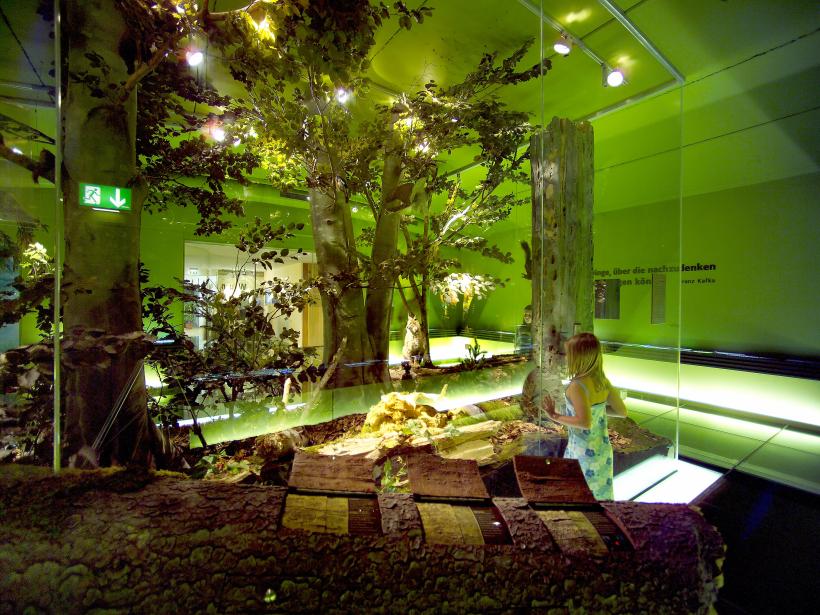 Výstava ukazuje lesní divočinu s jejími obyvateli