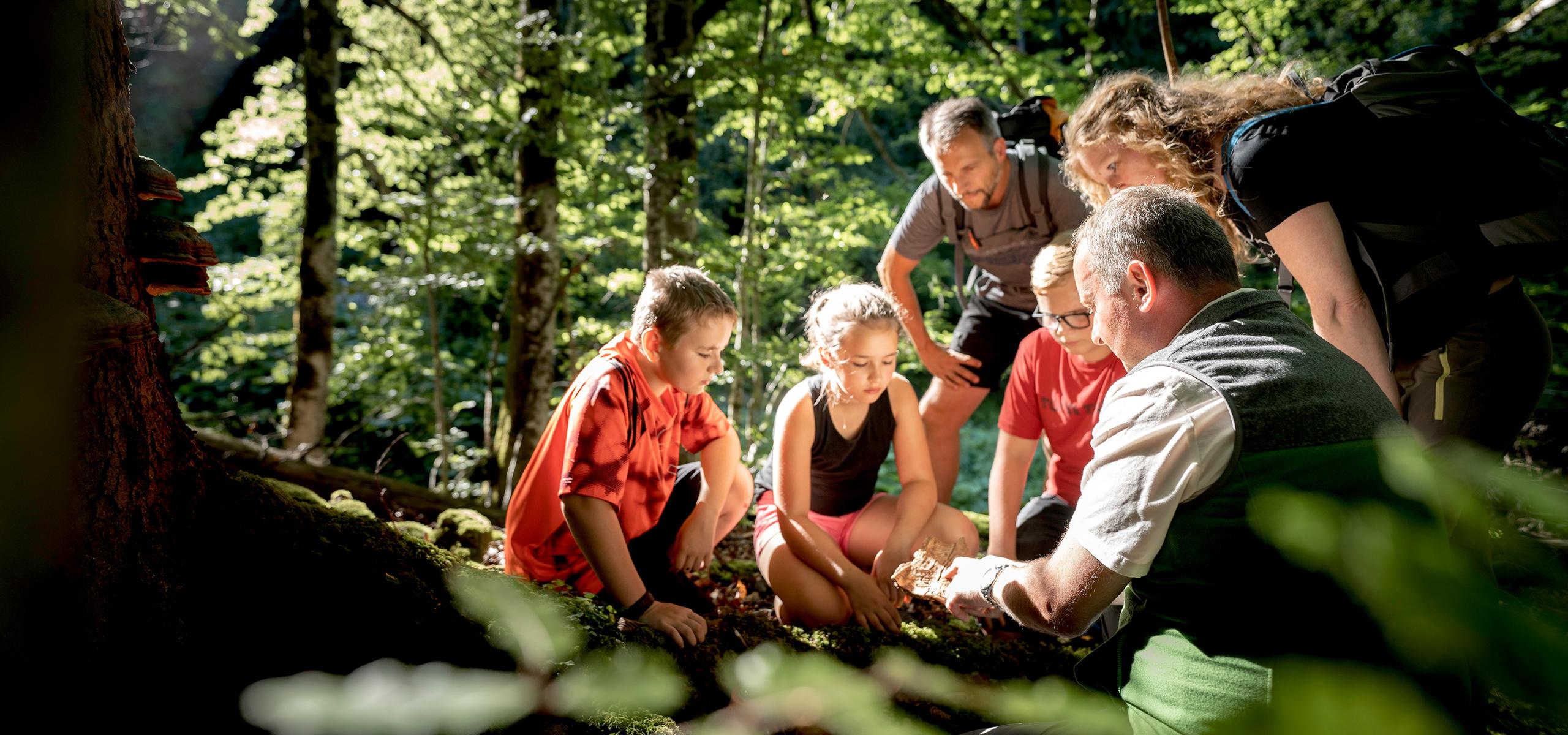 Nationalpark Kalkalpen Prohlídka lesa s dospělými a dětmi
