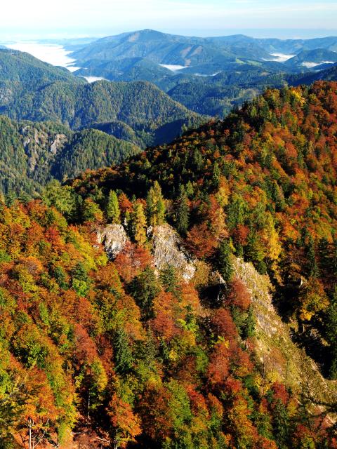 Výhled na podzimně zbarvené horské lesy
