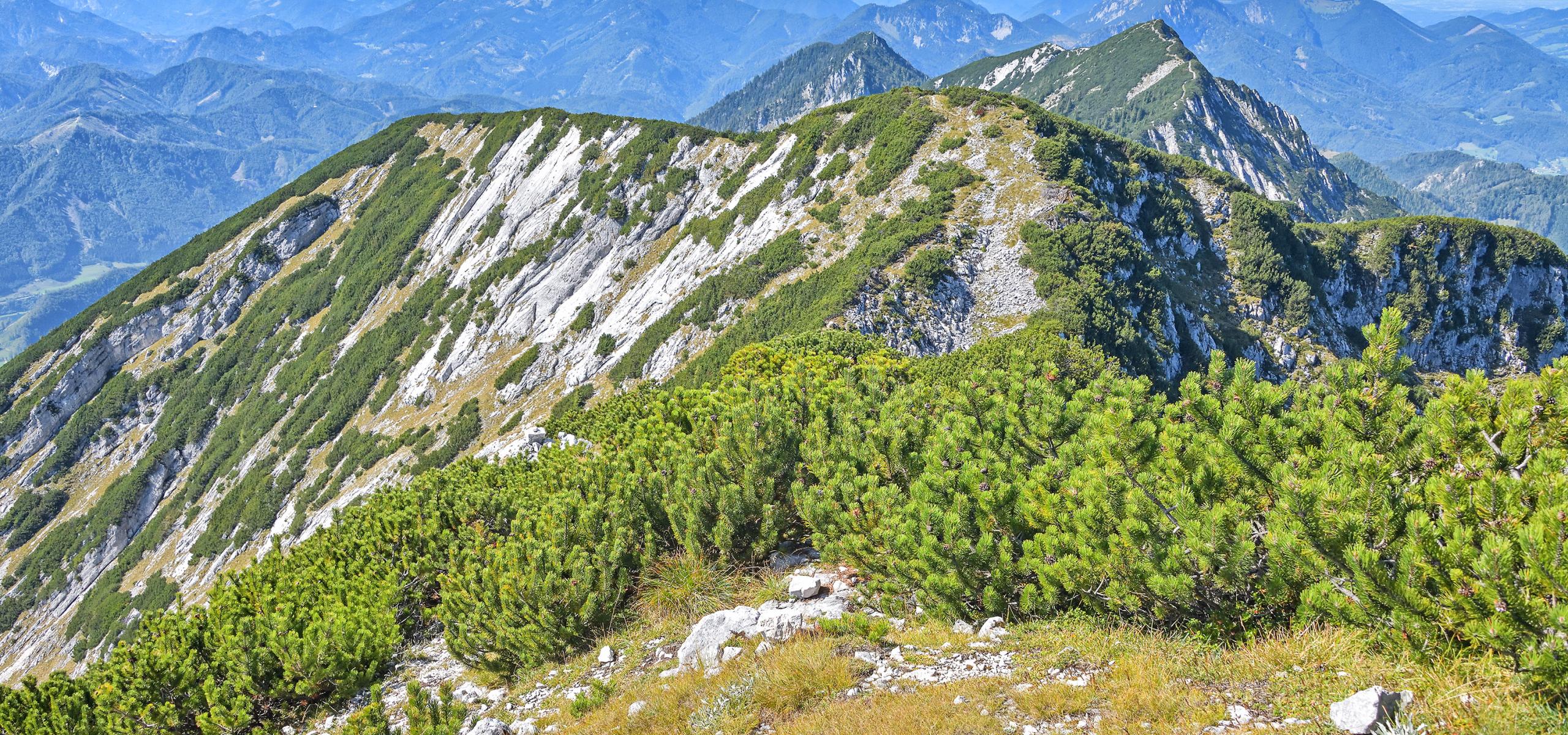 Pohled z Hochsengsu na západní část Sengsengebirge, v pozadí Totes Gebirge