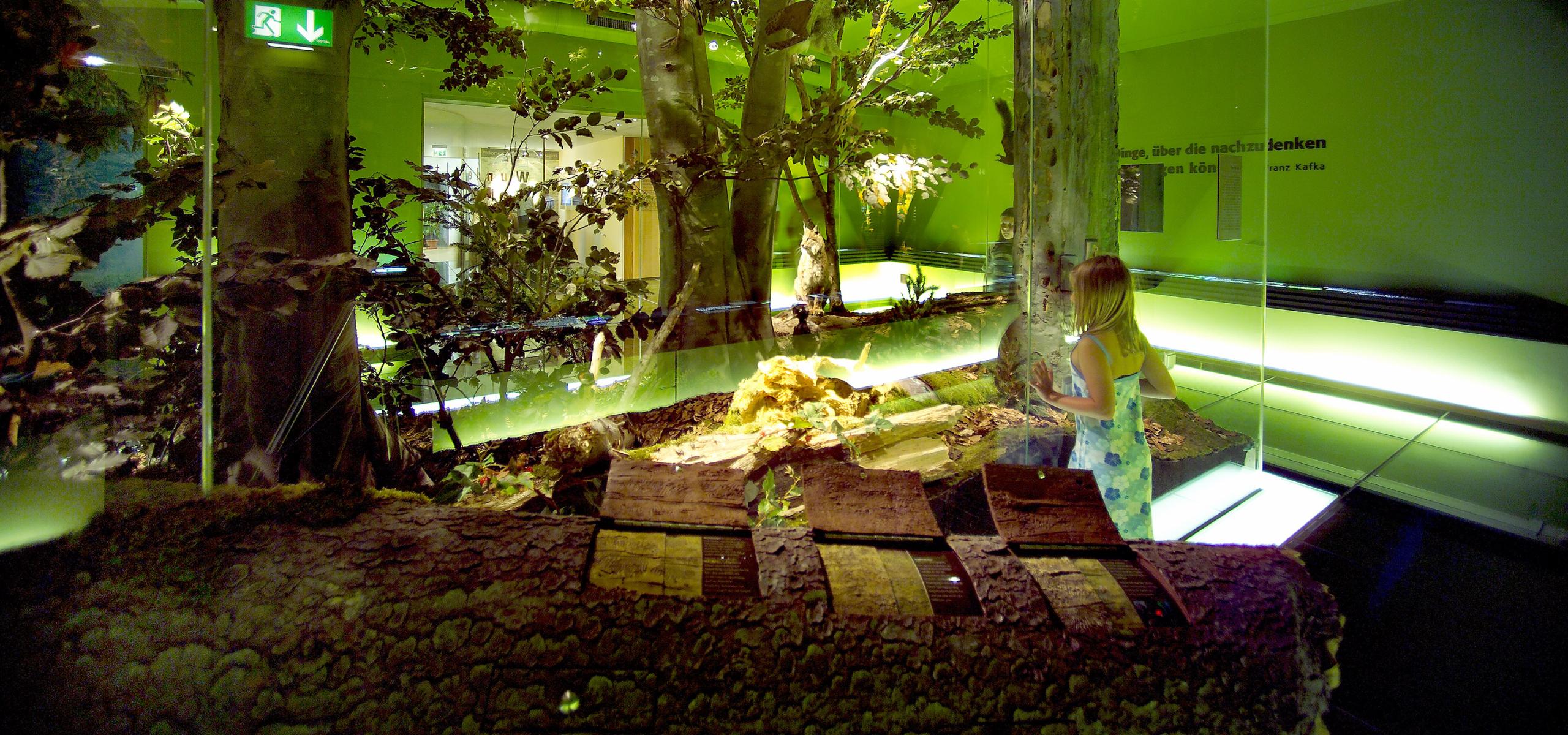 Výstava ukazuje lesní divočinu s jejími obyvateli