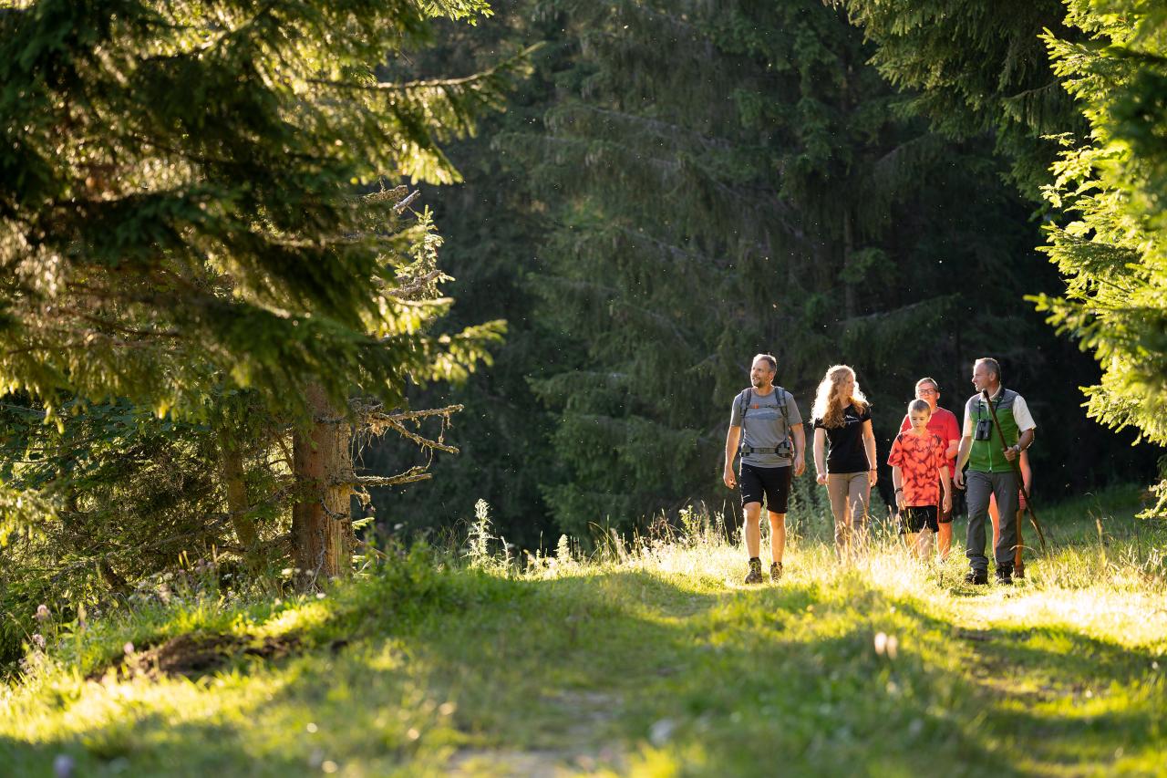 Lesník doprovází rodinu se dvěma dětmi na lesní stezce