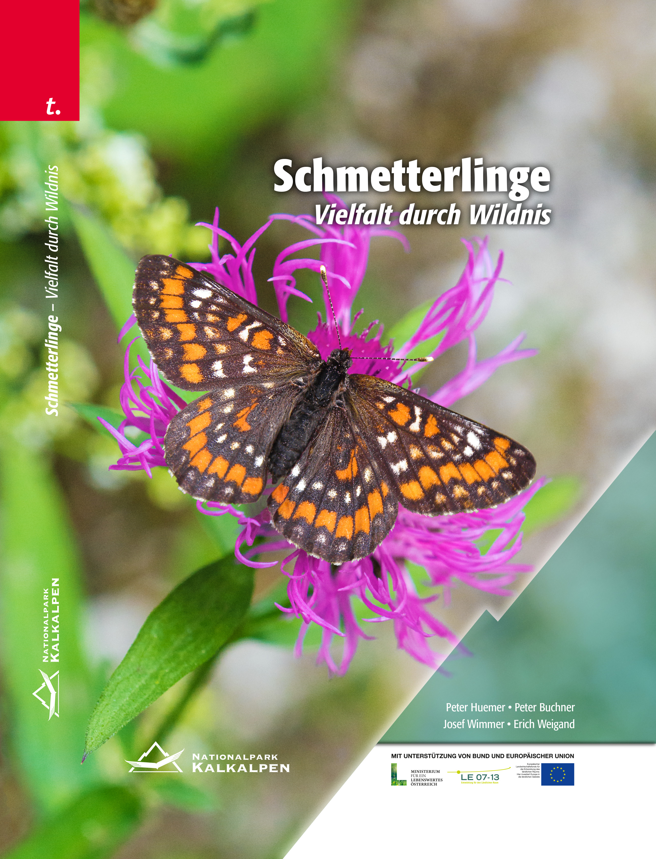 Titulní strana knihy Motýli Rozmanitost ve volné přírodě